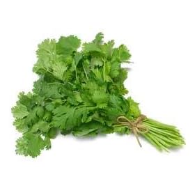 Cilantro Certified Organic Heirloom Seeds 200 Seeds