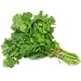 Cilantro Certified Organic Heirloom Seeds 200 Seeds