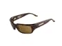 DSO "BOOST" - Shiny Tort frame/ Amber lens -polarized