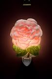 Flowers of Light Night Light Camellia Ibis and Orchid Design