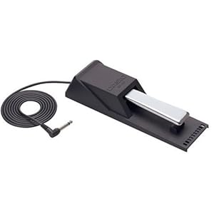 萌购 - CASIO 电子ピアノ Privia PX-110\/PX