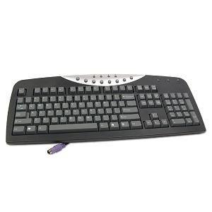Gateway SK-9920 PS/2 MultiMedia Keyboard (Silver/Black)