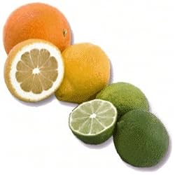citrus delight extract assortment
