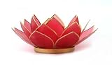 Small Rubellite Capiz Shell Tealight Holder