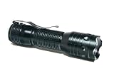AA CREE Q5 LED Flashlight w/ Holster