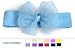 ~ Blooming Bows Classic Headband