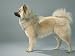 Eurasian Dog, Belgium Premium Poster Print by Petra Wegner, 24x18