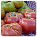 100% Certified Organic: Brandywine Tomato Seeds