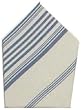 Durable Hand Woven 100% Cotton White and Blue Striped Napkins 22x22 Inches Set of Six