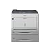Epson AcuLaser C9300DTN