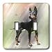 Dogs Manchester Terrier - Manchester Terrier - Light Switch Covers - double toggle sw...
