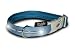 Visiglo LED Colored Nylon Dog Collars - Large Blue (16" - 26" Neck, 1" Wide)