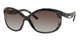 Balenciaga Sunglasses 0101 BLUE HORN/BROWN GRADIENT AZURE SSJIF