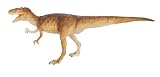 Sinraptor 31eJFXpZo2L. SL160 Sinraptor