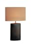 Lite Source LS-21024 Narvel Ceramic Table Lamp, Antique Bronze with Tan Fabric Shade