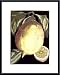 Fragrant Citrus I by Volkamer 14.00X18.00 Framed with Black Metal Frame
