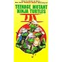 Teenage Mutant Ninja Turtles III