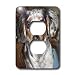 Dogs Dachshund - Dapple Dachshund - Light Switch Covers - 2 plug outlet cover