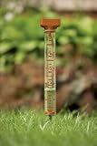 EZ Read Jumbo Rain Gauge Green