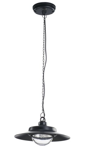 Nature Power Products 21030 Hanging Solar Shed Light 4 LED