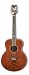 Daisy Rock Daisy Series Artist Electric Guitar - Awesome Blue - Left-Handed