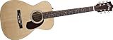 Guild GAD-F20 Acoustic Guitar, Natural
