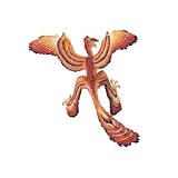 Safari: Microraptor