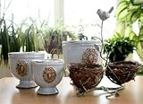 Pot & Nest Dish Gift Set