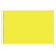 FM Yellow Solid Flag 3x5ft Nylon