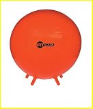 Champion Sports Fitpro Ball With Legs Champion Sports Fitpro Ball With Legs