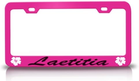 LAETITIA Female Name Hibiscus Steel License Plate Frame Pink