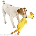 Rubber Chicken (Large)