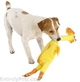 Rubber Chicken (Large)