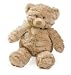 Summer Infant Mommies Melodies Gund Bear