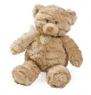 Summer Infant Mommies Melodies Gund Bear