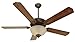 Craftmade K10647 Ceiling Fan Motor with Blades Included, 52"