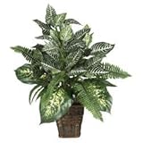 Mixed Greens Zebra with Wicker Silk Plant in Green - Nearly Natural - 6528