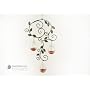 Birdscapes Garden Ballet Hummingbird Feeder Mobile