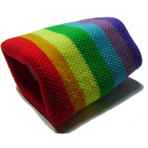 Gay Pride Wrist Band 7 Color Chakra