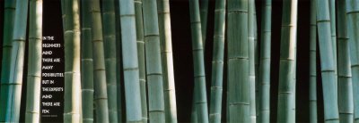 Bamboo Art Poster Print by Conzen , 36x12