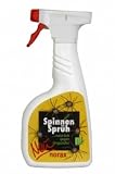 norax Spinnen Sprüh 500ml - Vernichter - Gegen Spinnen
