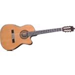 Ibanez GA Series GA5TCE Thinline Classical Acoustic-Electric Guitar (Natural)