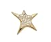 Rising Star Skin Jewel 925 Silver Gold Plated with Swarovski Crystal Size 35x34mm Weight 2,40gr 25 Skin Touch Adhesives Are Included in the Price