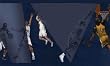 Slam Dunk- Boys Basketball - Sports Wall Paper Border
