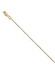 Leslies 14K Box w/Lobster Chain