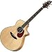 AJ250/SF Plus Acoustic Electric Guitar