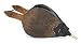 New Croco Bellows Wood 1 ea High Quality Modern Design Beautiful Practical Popular Stylish