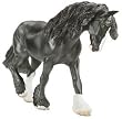 Fox Valley Oliver Shire Stallion