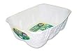8IN1 KITTYS WNDRBX-JUMBO SNGL