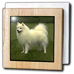 American Eskimo - 6 Inch Tile Napkin Holder American Eskimo - 6 Inch Tile Napkin Holder
